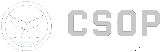 CÔNG TY TNHH CSOP